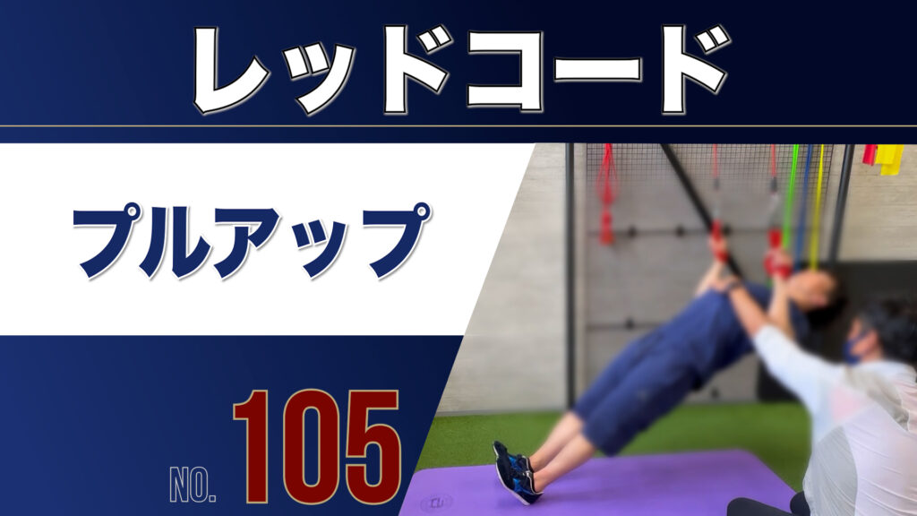 105レッドコードプルアップ